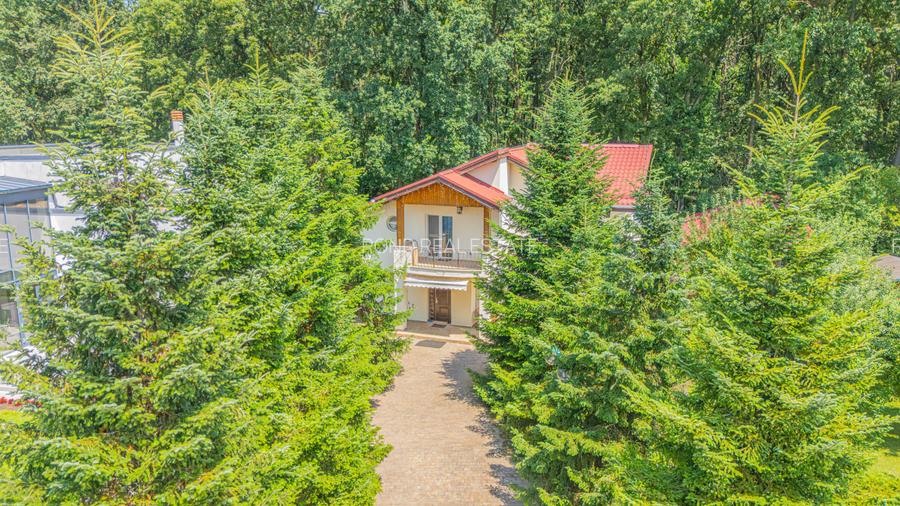 Vilă P+1 cu casă de oaspeți, la marginea pădurii, disponibila imediat - 3