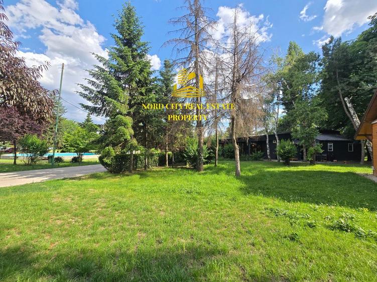 Spatiu comercial Parcul Herastrau-Restaurant Cafeanea-Vanzare-Asociere