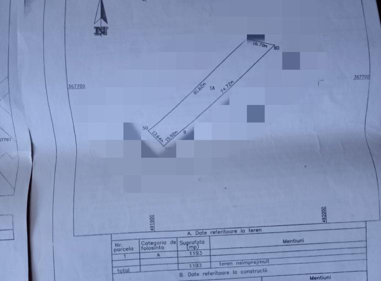 Teren Bradu / Pasarela , Intravilan / Arabil !
