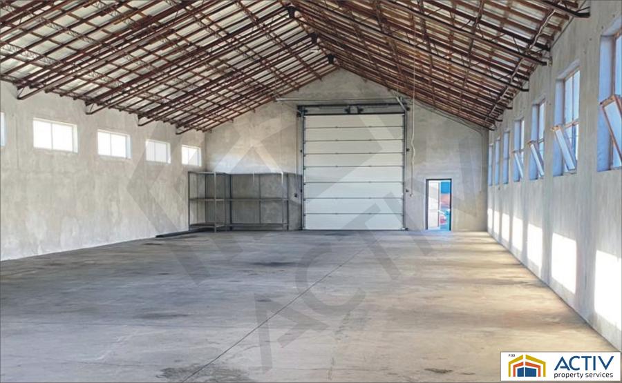 Spatiu industrial de inchiriat in Sebes