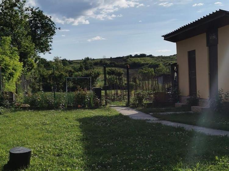 Casa Mischii teren 1000mp