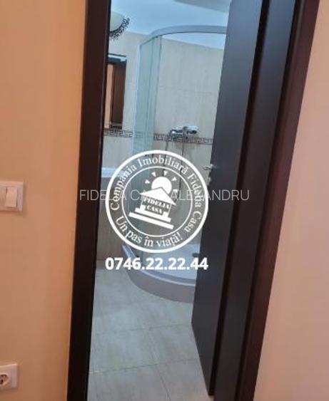Apartament 2 camere zona Palas - 8