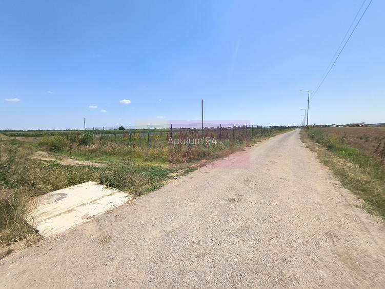 Teren pentru casă aproape de București - 23
