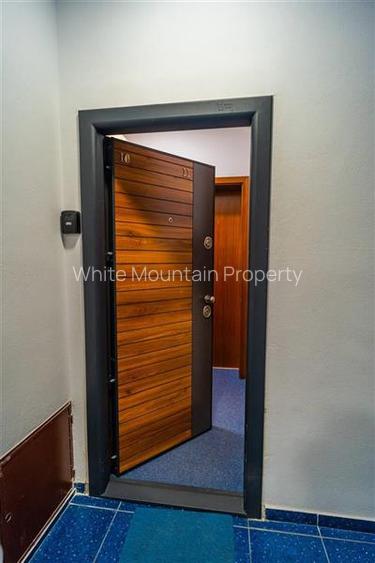 Apartament 2 camere,, pretabil rezidential sau office, vanzare Herastrau - 25