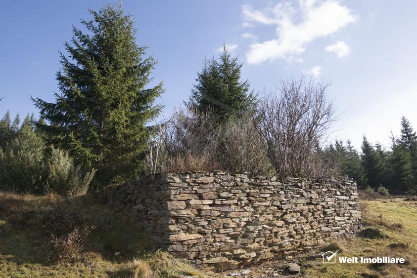 Eco Retreat Land in Apuseni Romania - Poiana Horea