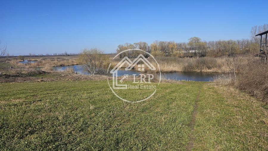 Loturi de Casa pe malul Lacului Creața, Dascălu – 460 mp + Drum servitute