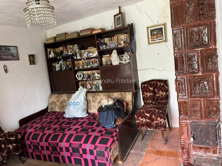 Amarasti Nemoiu in apropiere de Dragasani si Valcea - 15