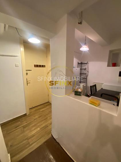 STUDIO DOROBANTI-SLATINEANU DE VANZARE - 5