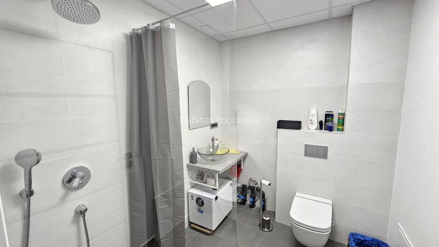 Spațiu comercial ideal cabinete, salon, finisat, inceput de Borhanci - 11