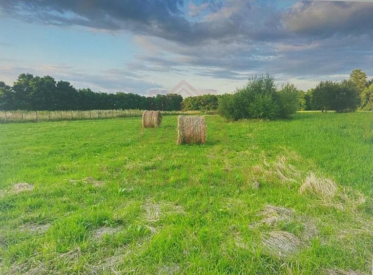 TEREN INTRAVILAN CU PUZ\ 704 MP\CARANSEBEȘ\ ZONA TEIUȘ