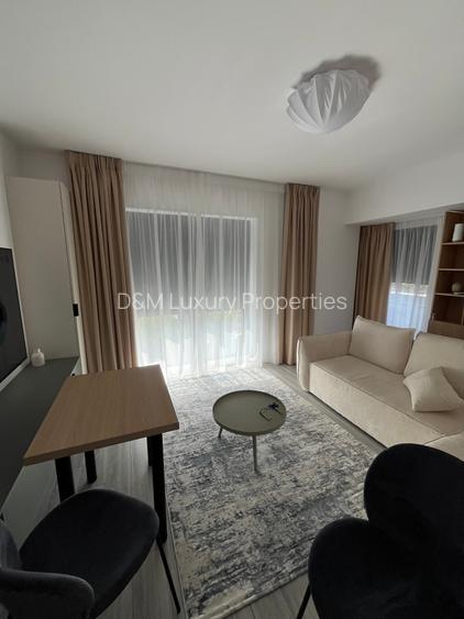 Inchiriere doua camere Premium Aparatorii Patriei - 6