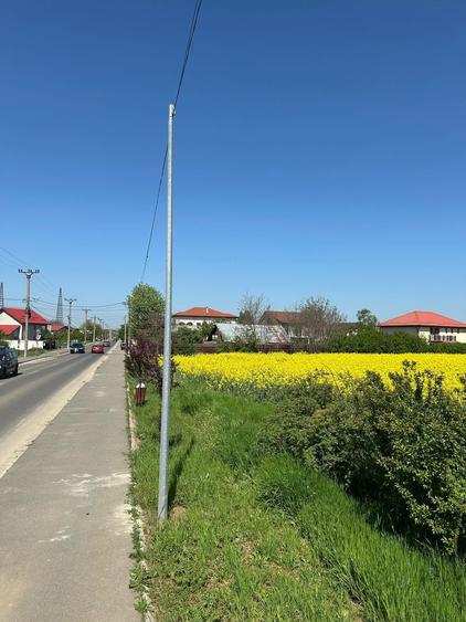 Teren intravilan 26.300 mp Saftica Balotesti - PUZ în lucru
