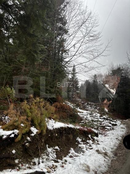 Teren unic, exclusivist  4000 mp, in inima muntilor, Sinaia - 9