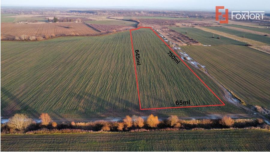 Teren extravilan arabil 50.890mp - aproape de centura Timisoara Sud