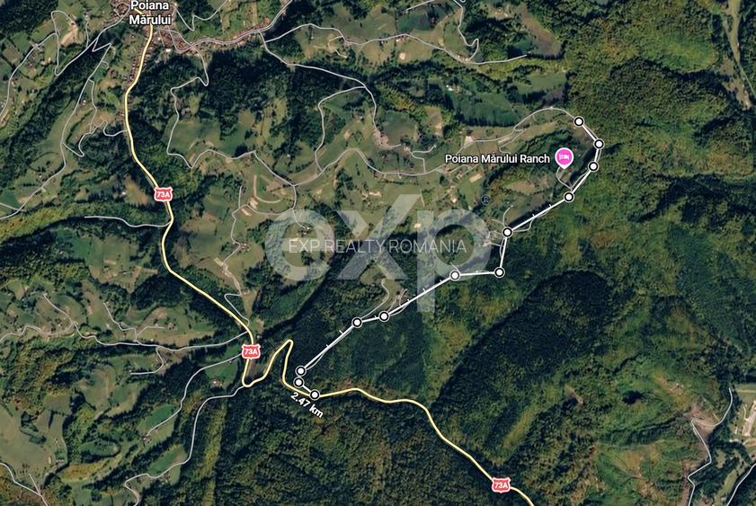 Teren de 4000 mp cu potențial - 5