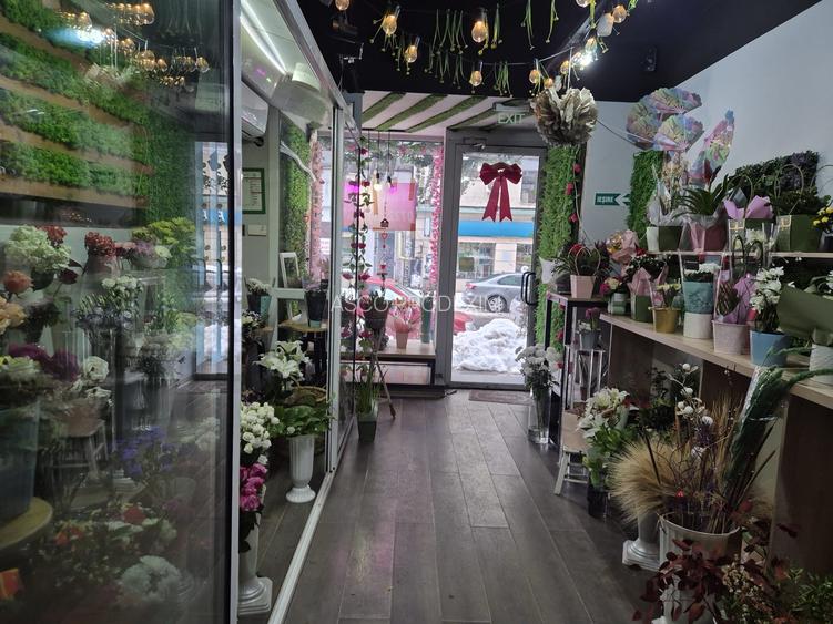 Spatiu comercial ultracentral Magheru Rosetti stradal vad pietonal - 11