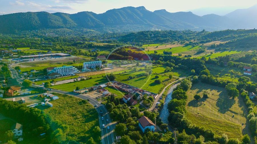 Teren intravilan 7.660 mp lângă Bran, panoramă 360°, comision 0%