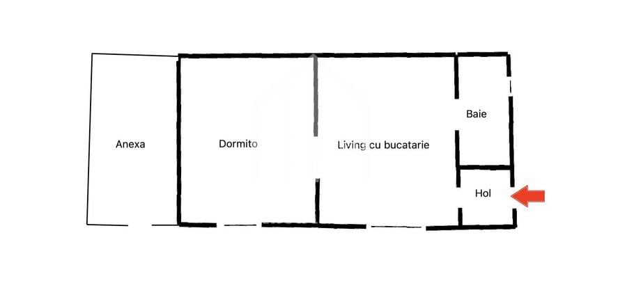 Casa individuala, 2 camere, sura 100mp, 290mp teren, Turnisor - 2