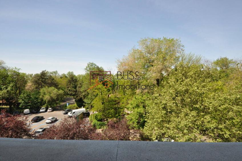 Apartament De Lux Cu Vedere Spre Parcul Herăstrău - 8