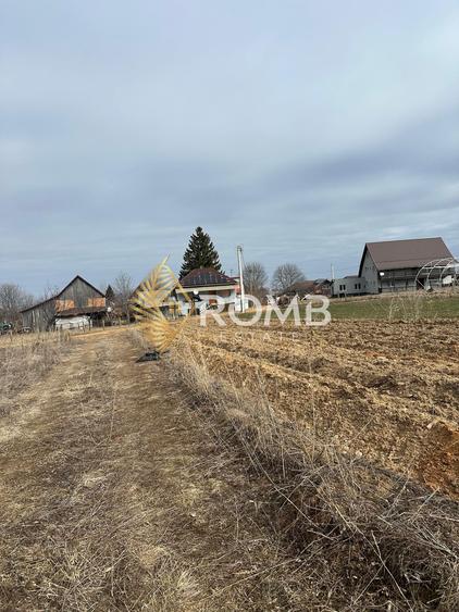 Teren extravilan 3932 MP, Dangaul Mare, zona centrală