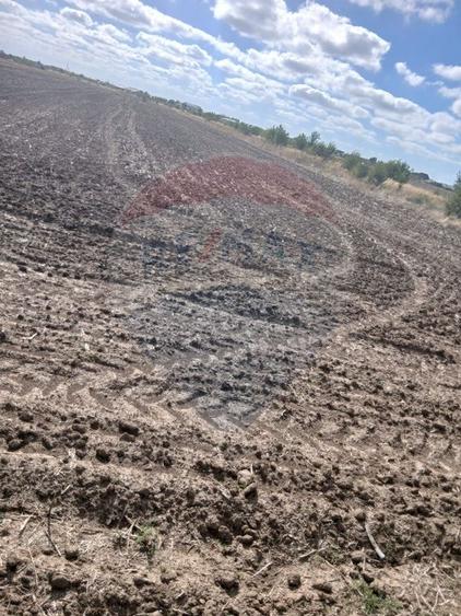 Teren de vanzare 4500mp Strada Rasaritului Darvari Ciorogarla A0