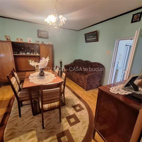 Bocsa Vasiova, Casa cocheta pentru familie, cu Gradina. - 20
