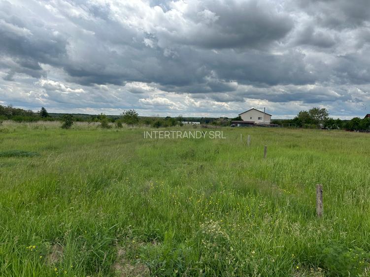 (302) Teren pentru dezvoltatori case Albota, langa Pitesti - 6