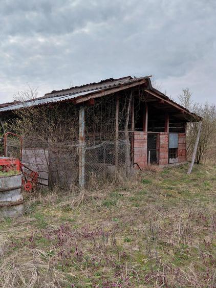 Teren intravilan + constructii in Hodis, jud Arad
