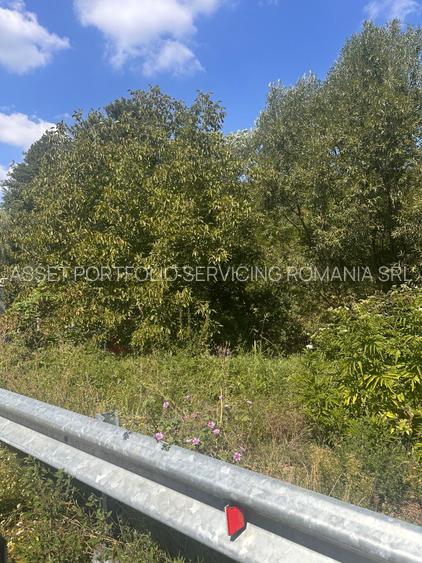 TEREN INTRAVILAN - 2500 MP - Valea Mare- Podgoria - 9