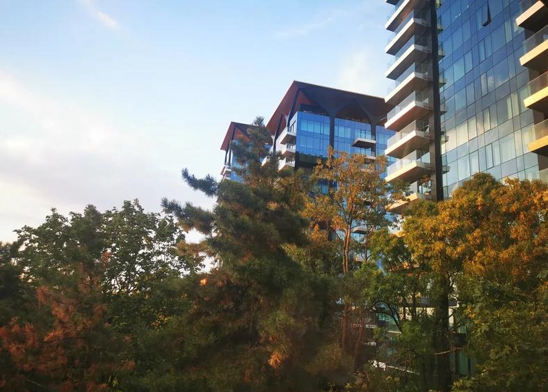 Apartament 2 Camere | Floreasca | Pet Friendly |