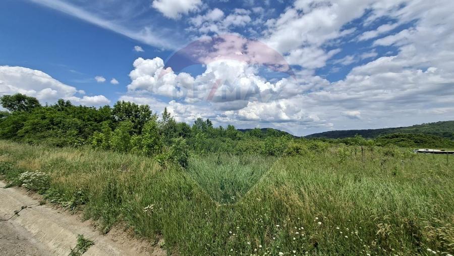 Teren intravilan 2400mp | Mohu, Sibiu | Oportunitate de Investiție