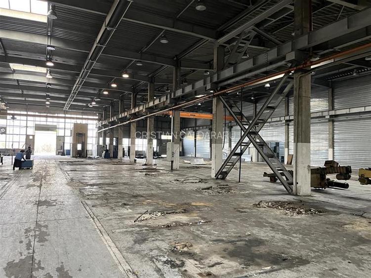 Inchiriere depozit/hala/spatiu industrial Militari - Timisoara - 2
