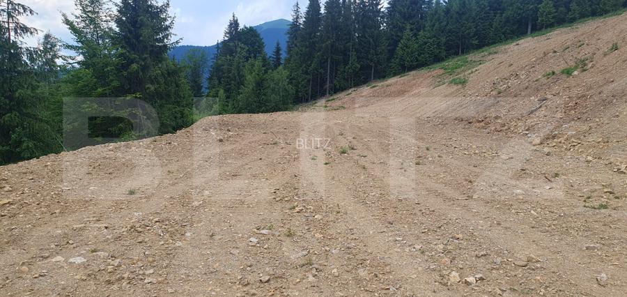 Teren extravilan pentru o casa de vis in Dorna Candrenilor