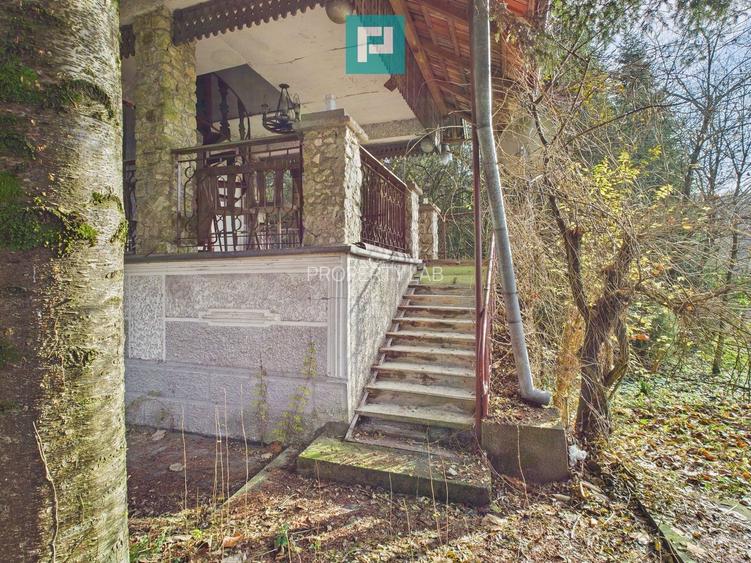 Casă P+E+M cu teren 8163 mp – Roșia Nouă (Petriș) - 6