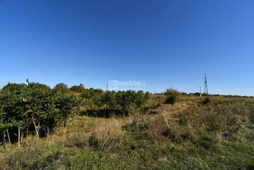 Teren 10.000mp plan, 350m altitudine | Barnova-Paun | POT 35%, CUT 0.9