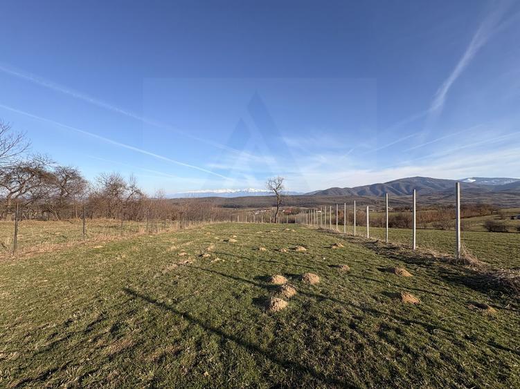 Teren intravilan 809 mp cu deschidere 14 m în Tropinii Noi