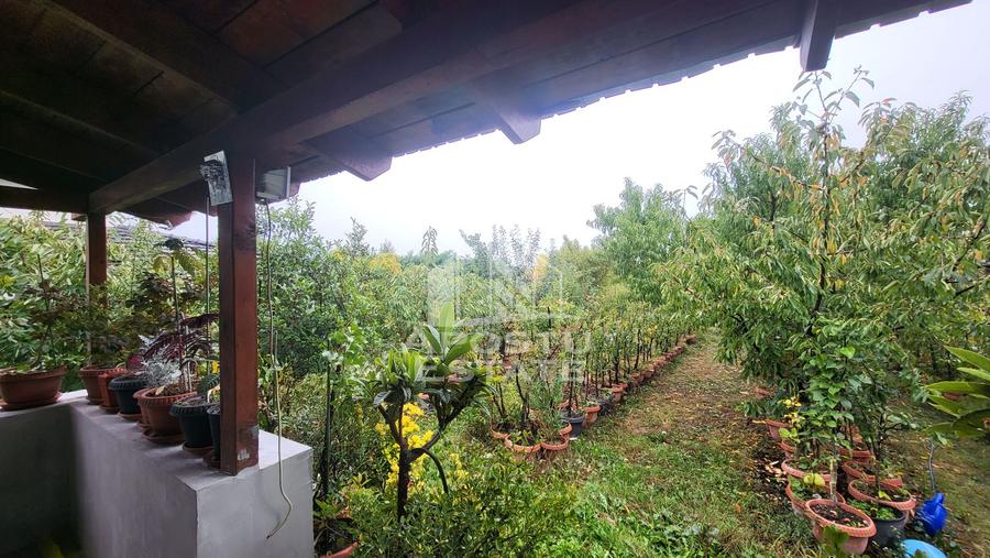 Casa individuala cu 5 camere,Giarmata Vii