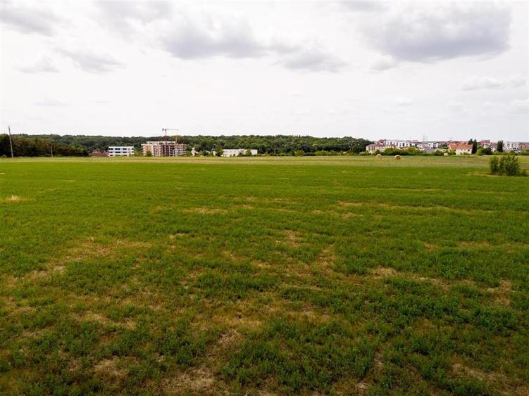 RECO Teren intravilan Haieu 4408mp