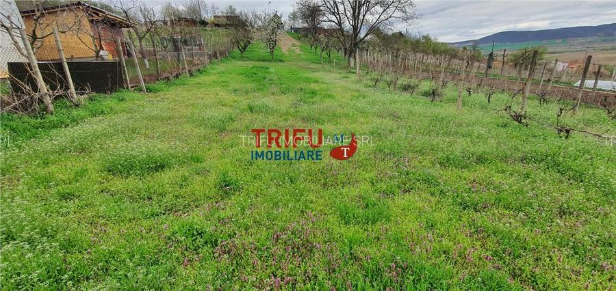 Teren de vanzare zona Micesti 1436mp - 2