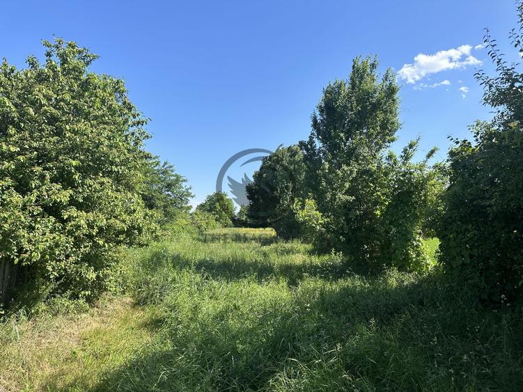 Teren intravilan de vanzare | 11.000 mp | Ghirdoveni | Comision 0%