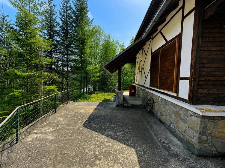 CABANA IN ZONA SINAIA - TEREN 550MP