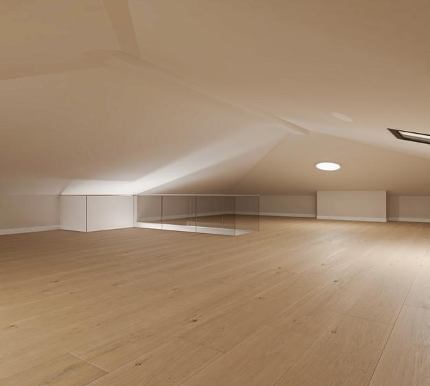 Casa Individuala P+Mansarda Locuibila