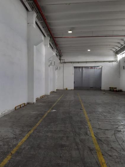 Hala industriala Frumusani - Buciumeni