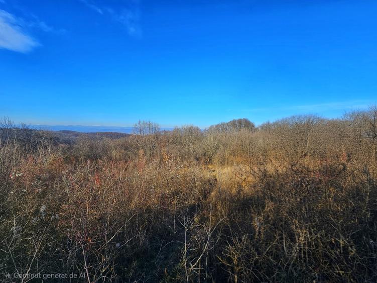 Teren intravilan 2.000 mp – Seciu, 2 deschideri, Priveliște panoramica