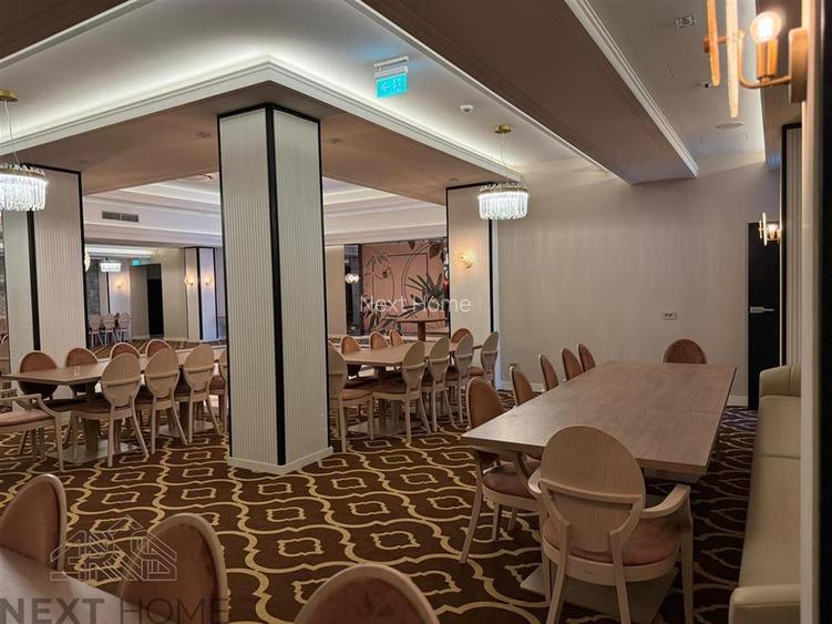 SPATIU COMERCIAL TEATRU, ZONA ZERO - 16