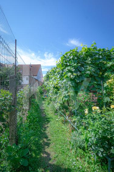 Apartament la casă, zonă liniștită și centrală — Str. Lupeni, Sibiu - 31