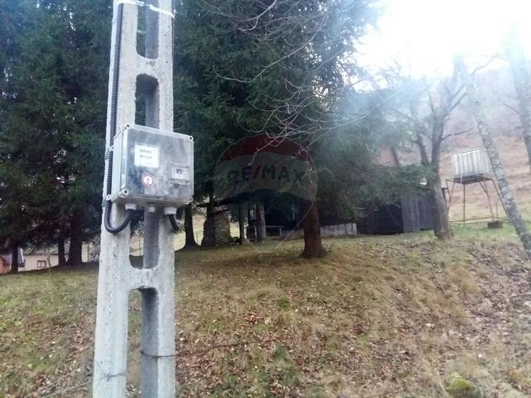 Teren 6700 mp, Apuseni, Pietroasa, Valea Aleului, Bihor, De Vânzare