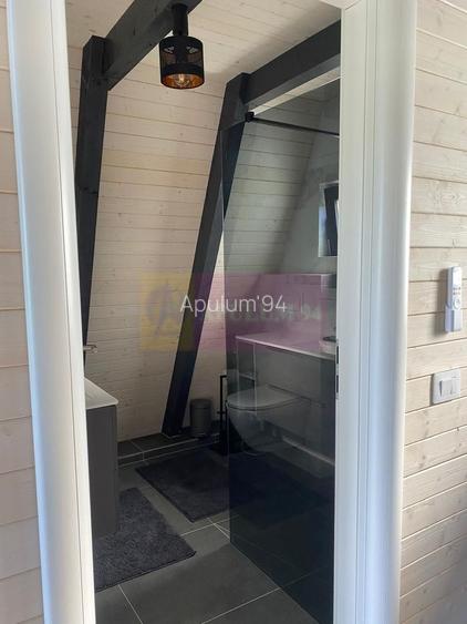 Cabane A frame + Teren 6000 mp |  Proprietate deosebita, NOU - 29