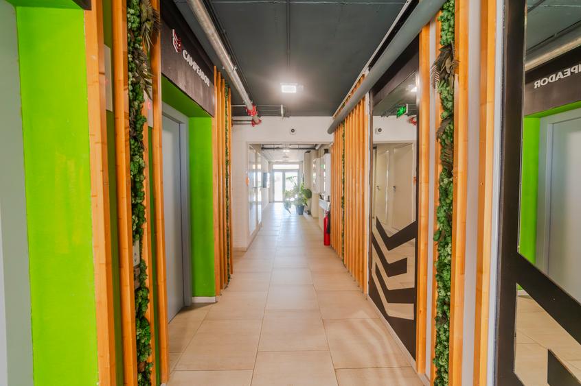 Apartament 3 camere - Bloc Nou (Zona Torontalului)