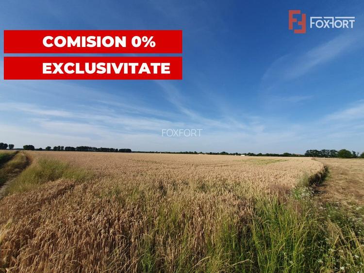 COMISION 0% Teren de vanzare intravilan de 24.700 mp - Padureni - 12